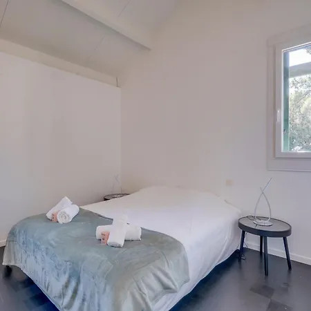 Dans Les Arbres, Proche Le Verdon-sur-Mer