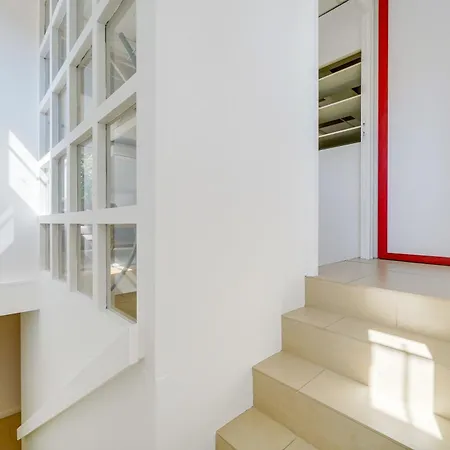 Dans Les Arbres, Proche Le Verdon-sur-Mer