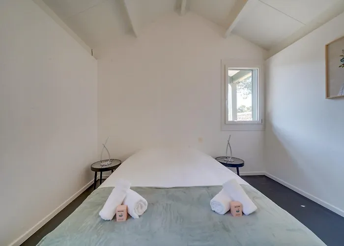 Dans Les Arbres, Proche *