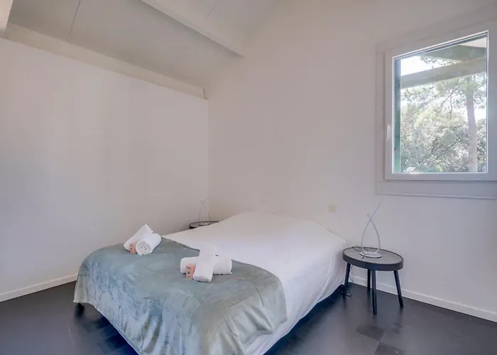 Dans Les Arbres, Proche Le Verdon-sur-Mer