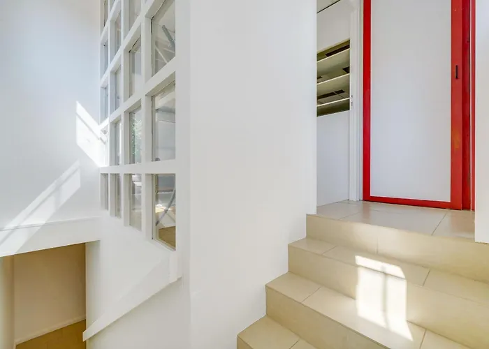 Dans Les Arbres, Proche Le Verdon-sur-Mer